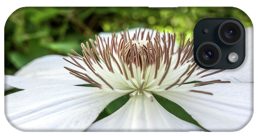 50146 iPhone Case featuring the photograph White Clematis Flower Garden 50146 by Ricardos Creations