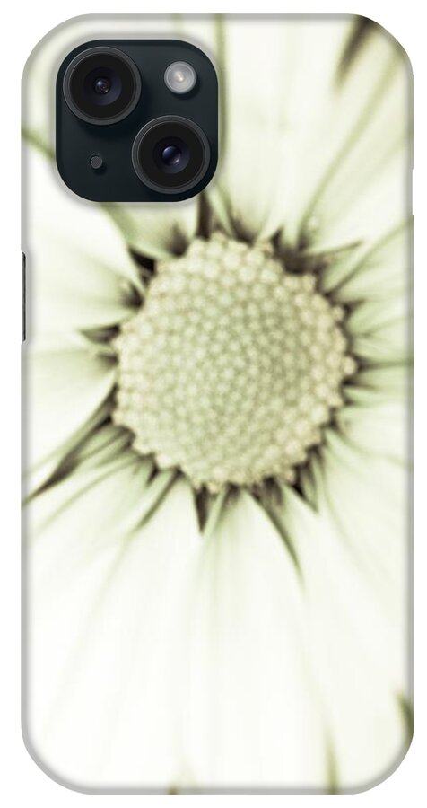 Daisy iPhone Case featuring the photograph White Daisy Beauty by Marian Lonzetta