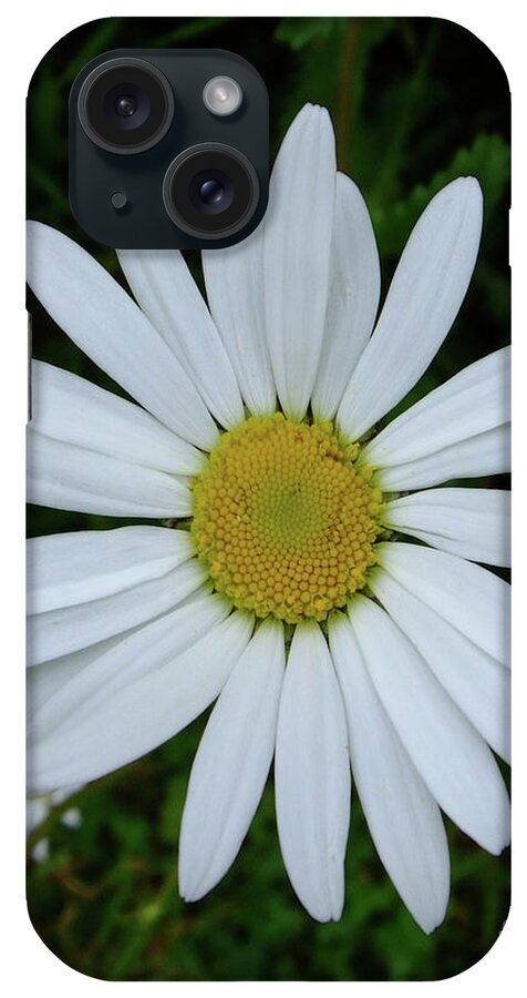 Flower iPhone Case featuring the photograph White Daisy by Julia Underwood