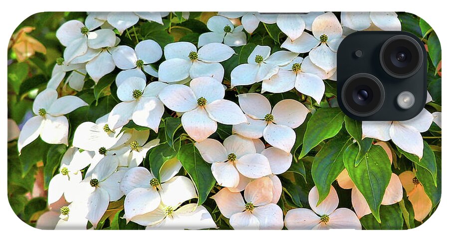 White Dogwood iPhone Case featuring the photograph White Dogwood Tree Bouquet by Carol Groenen