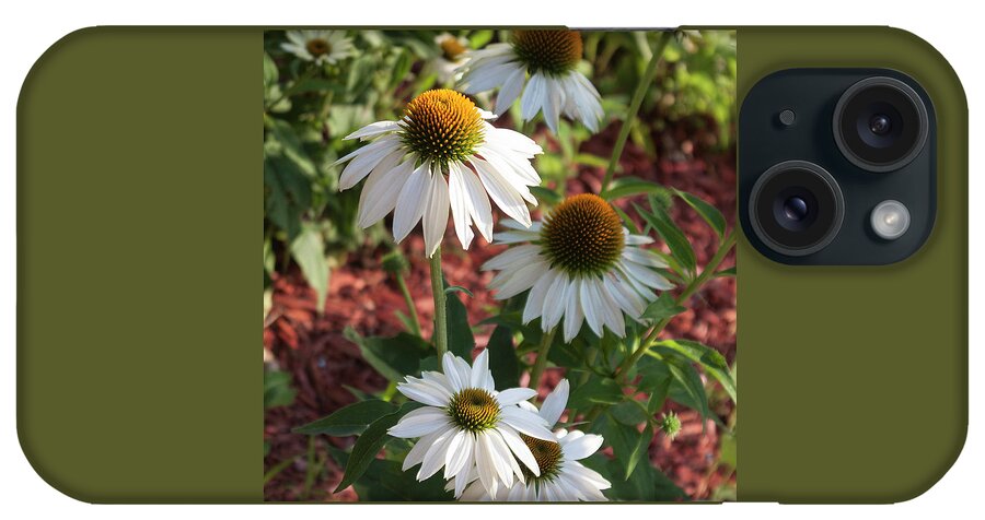 Photograph iPhone Case featuring the photograph White Echinacea by Suzanne Gaff