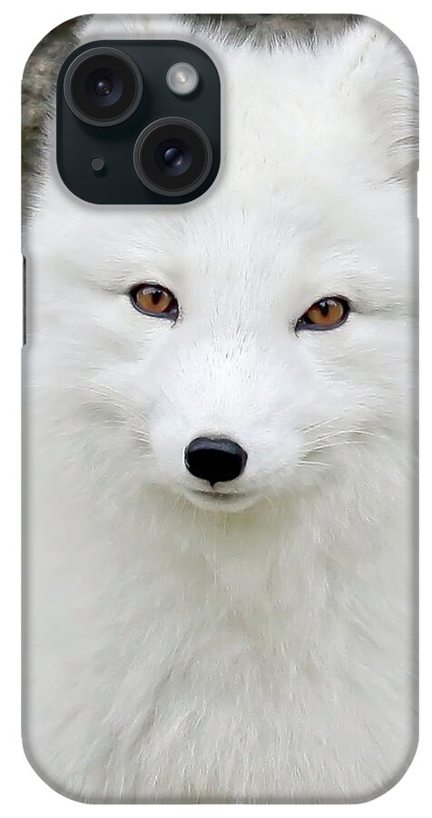 White Fox iPhone Case featuring the photograph White Fox by Athena Mckinzie