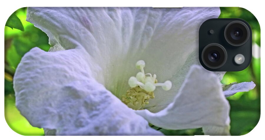 Hibiscus iPhone Case featuring the photograph White Hibiscus Flower by Jeff Townsend