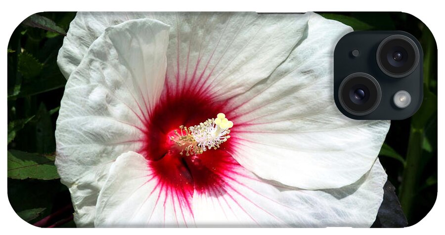 Hibiscus iPhone Case featuring the photograph White Hibiscus by Jackson Pearson