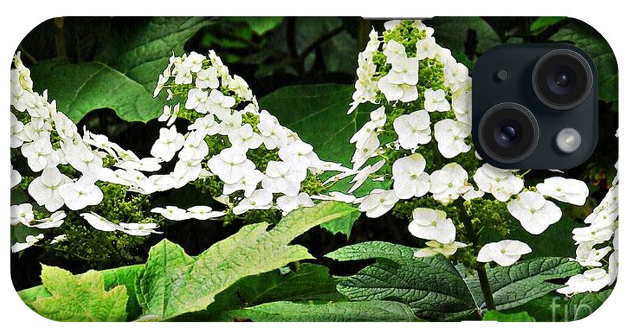 Hydrangea iPhone Case featuring the photograph White Hydrangea by Sarah Loft