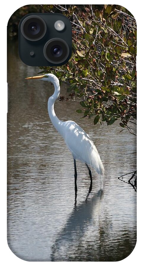 Florida iPhone Case featuring the photograph White Ibis by Kathleen Scanlan