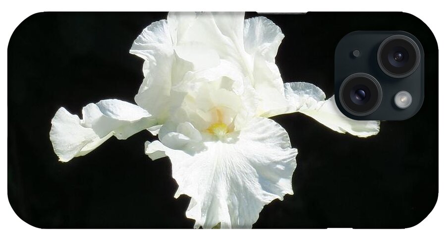 White Iris iPhone Case featuring the photograph White Iris by Anita Adams