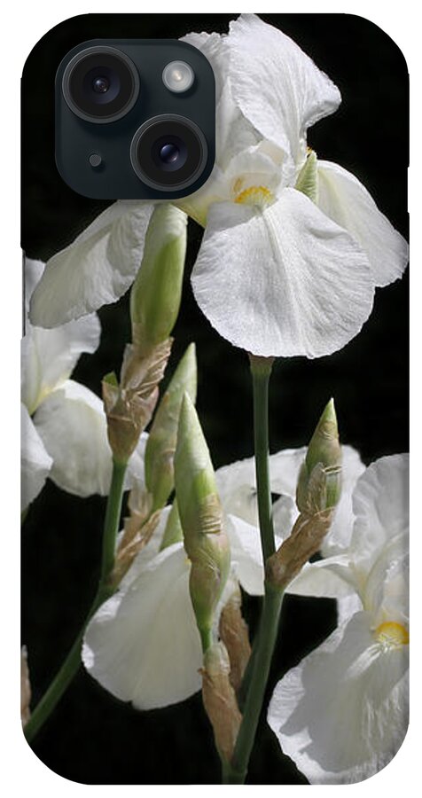 Bearded Iris iPhone Case featuring the photograph White Iris Flowers in The Garden by Jennie Marie Schell