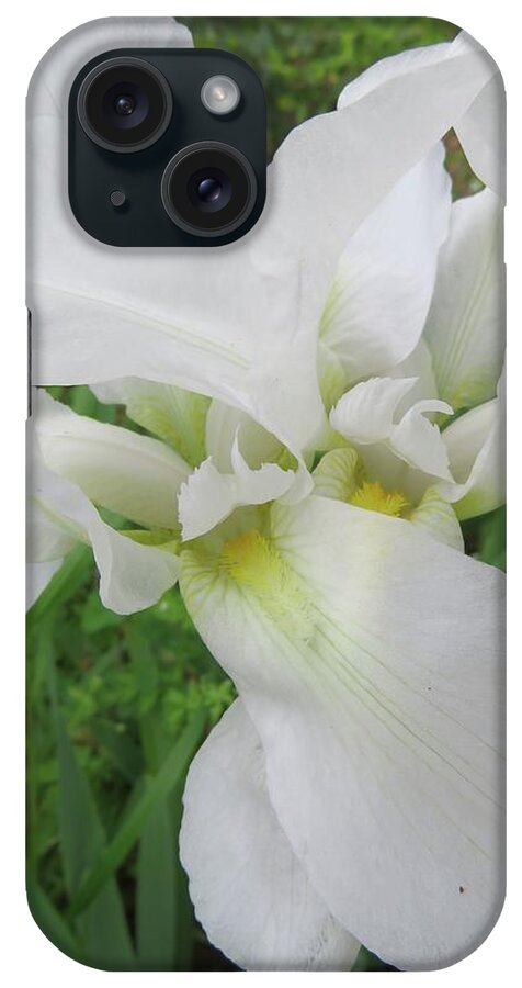 Iris iPhone Case featuring the photograph White Iris by Judith Lauter