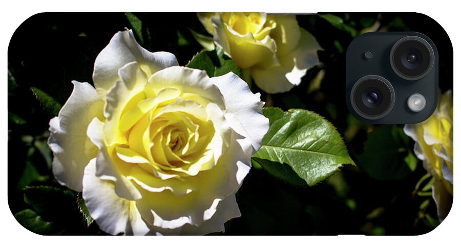 Close-up iPhone Case featuring the photograph White Licorice Roses by K Bradley Washburn