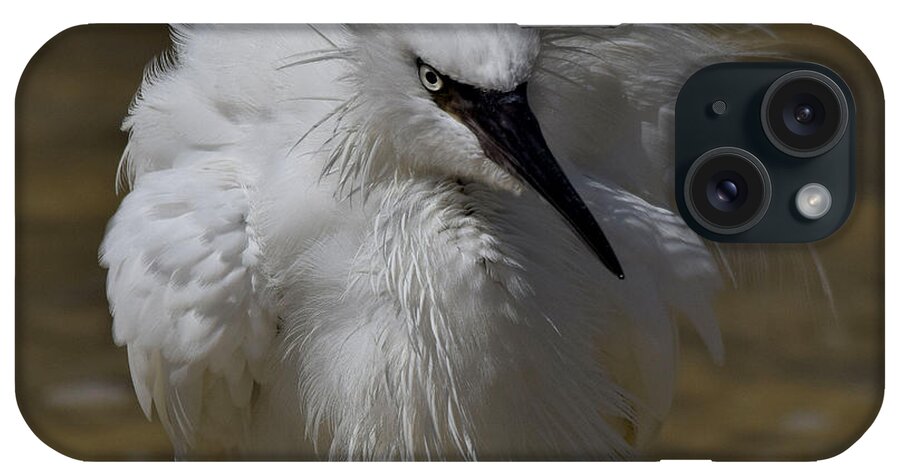 Reddish Egret iPhone Case featuring the photograph White Morph by Jim Bennight