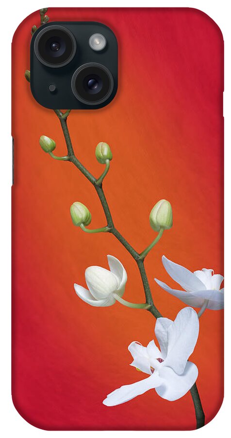 Art iPhone Case featuring the photograph White Orchid Buds on Red by Tom Mc Nemar