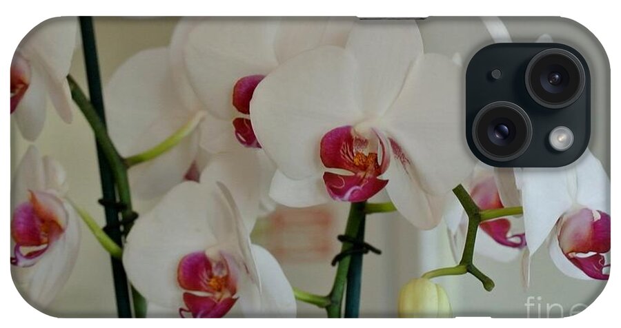 Photo iPhone Case featuring the photograph White Orchid Mothers Day by Marsha Heiken