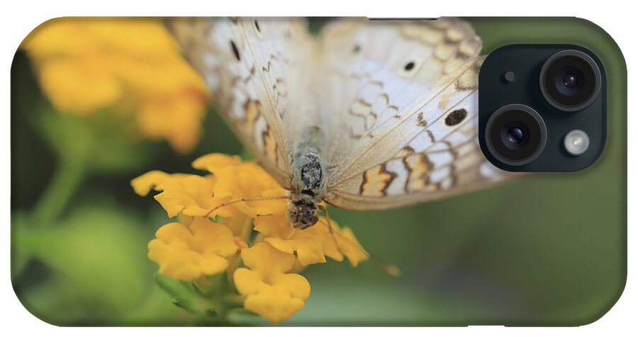 White iPhone Case featuring the photograph White Peacock by Shelley Neff