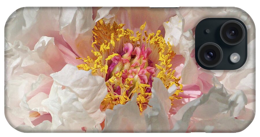 White Peony iPhone Case featuring the photograph White Peony by Sandy Keeton