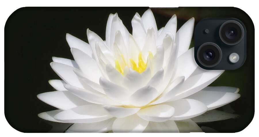 Water Lily iPhone Case featuring the photograph White Petals Glow - Water Lily by MTBobbins Photography