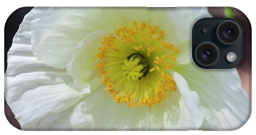 Photograph iPhone Case featuring the photograph White Poppy by Suzanne Gaff