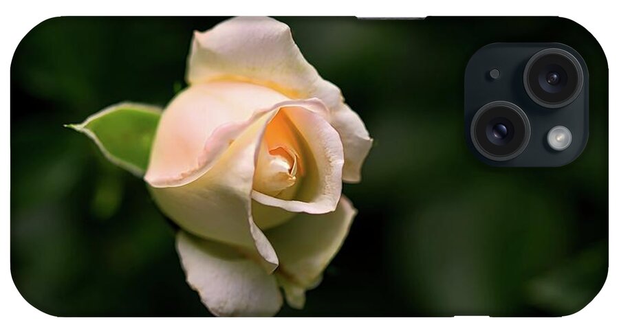 White iPhone Case featuring the photograph White Rosebud by Richard Gregurich