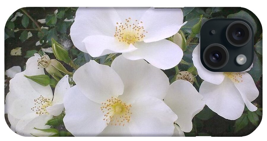 White Roses iPhone Case featuring the painting White Roses Bloom by Georgeta Blanaru