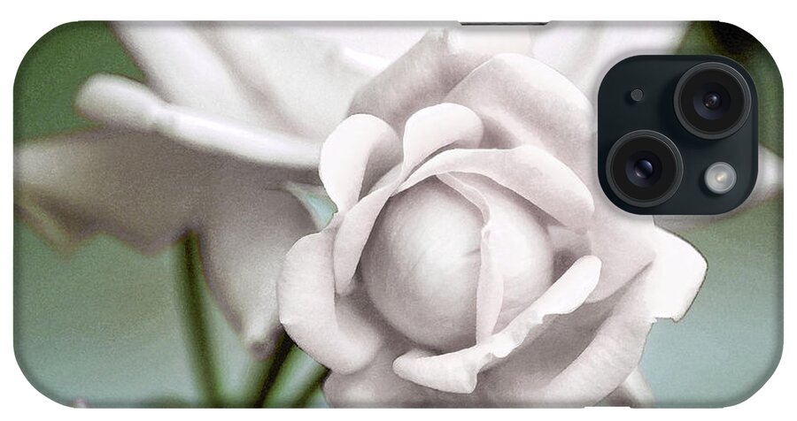 White iPhone Case featuring the photograph White Roses by Dianne Morgado