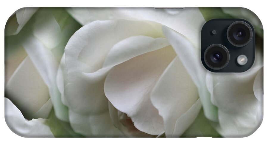Rose iPhone Case featuring the photograph White Roses by Smilin Eyes Treasures