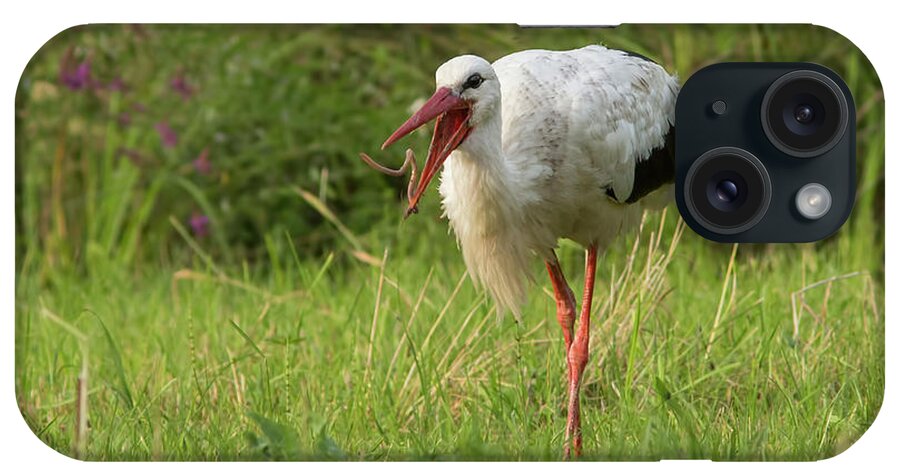White iPhone Case featuring the photograph White stork feeding by Mircea Costina Photography