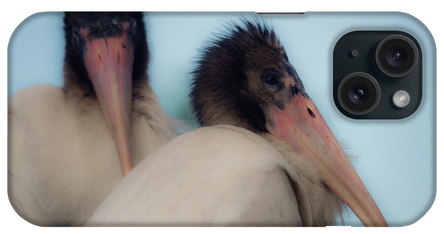White Storks iPhone Case featuring the photograph White stork offspring by Wolfgang Stocker