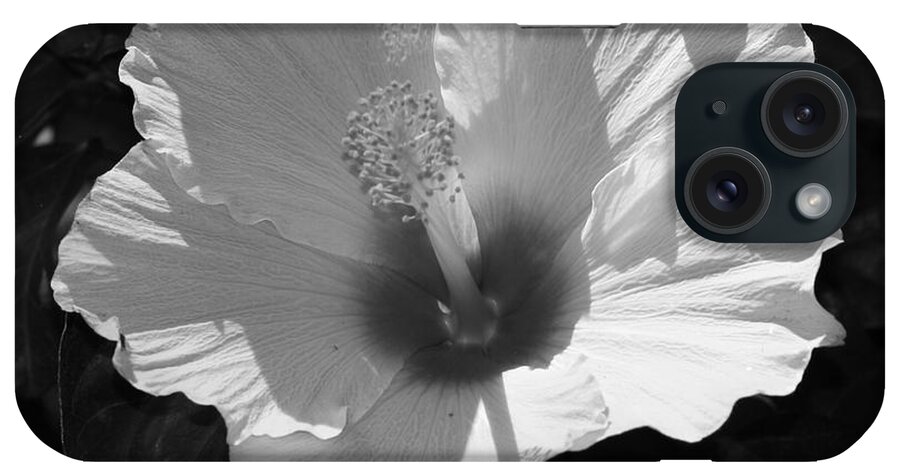 Hibiscus In Black And White For Canvas iPhone Case featuring the digital art White Sunshine by Steve Godleski