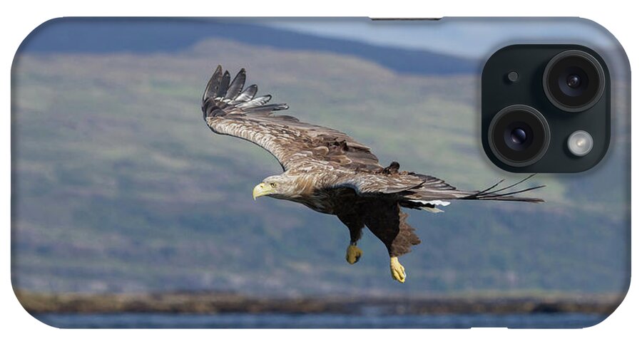 White-tailed Eagle iPhone Case featuring the photograph White-Tailed Eagle Over Loch by Pete Walkden