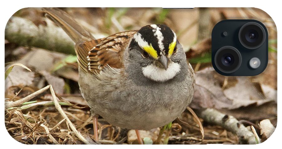 Bird iPhone Case featuring the photograph White-throated Sparrow 3454 by Michael Peychich