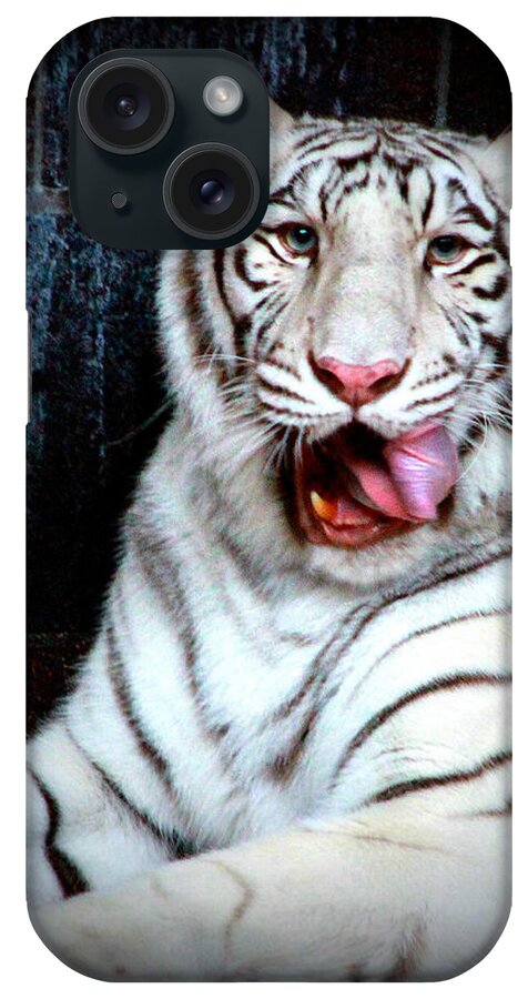 Tiger iPhone Case featuring the photograph White Tiger by Mike Dunn