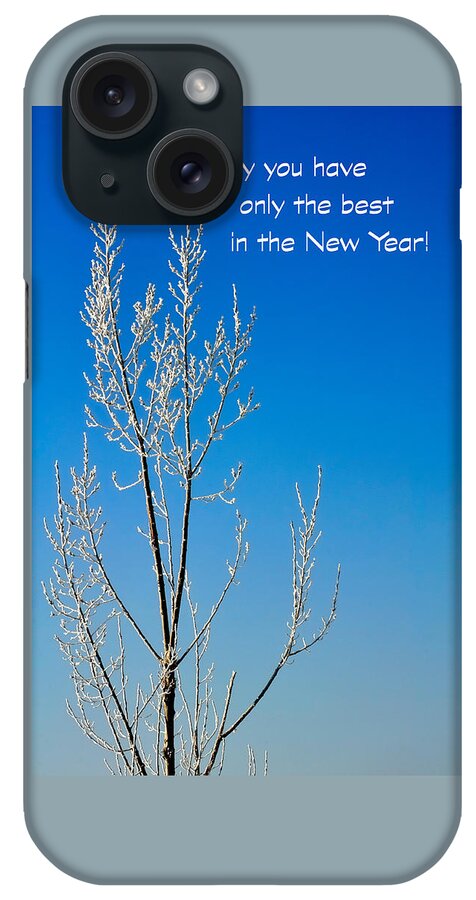 Season iPhone Case featuring the photograph White Tree New Year Card by Jerry Sodorff