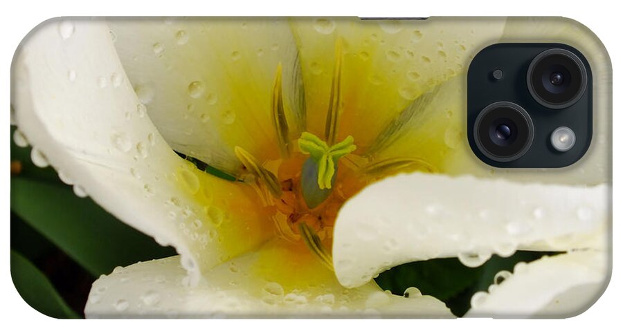 Floral iPhone Case featuring the photograph White Tulip by Scott Cameron