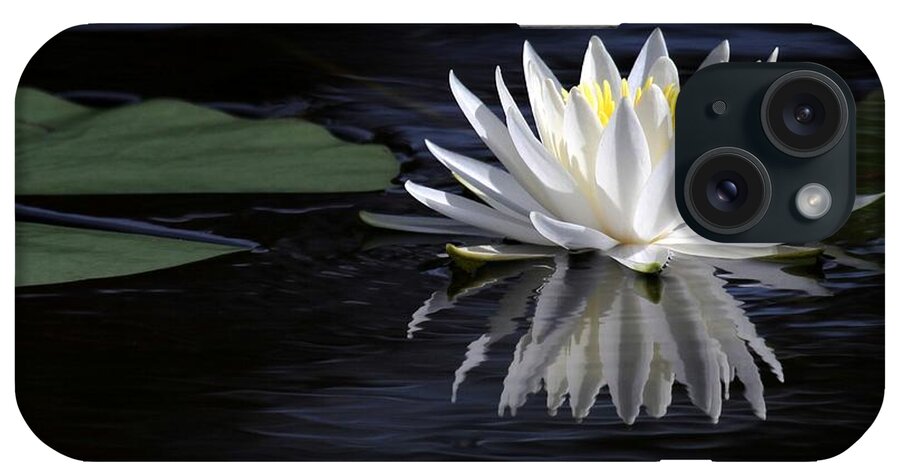 Water Lily iPhone Case featuring the photograph White Water Lily by Sabrina L Ryan