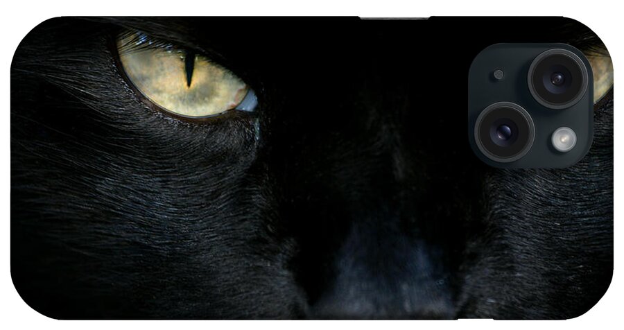 Cat iPhone Case featuring the photograph White Whiskers by Lorenzo Cassina