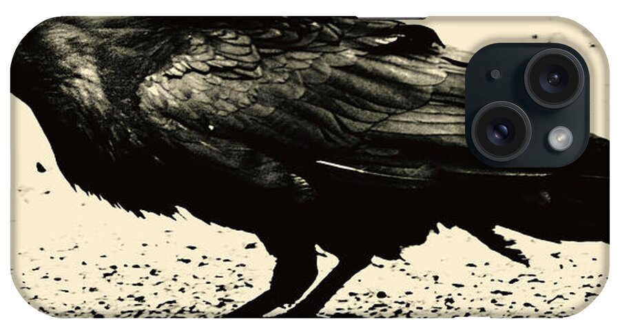 Crow iPhone Case featuring the photograph Who Calling by J C