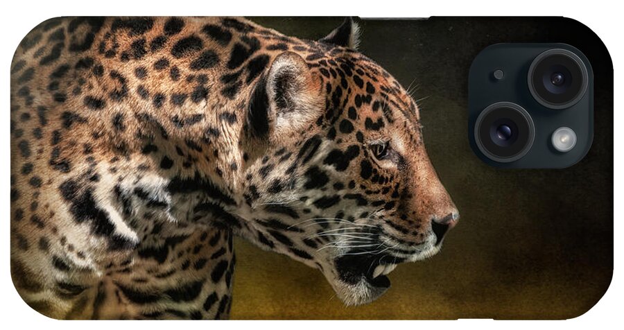 Jaguar iPhone Case featuring the photograph Who Goes There by Lois Bryan