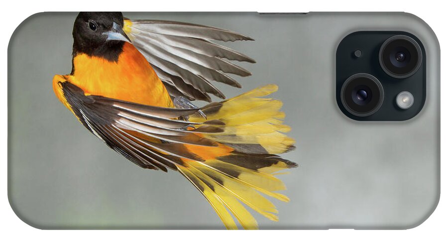 Nature iPhone Case featuring the photograph Who Needs A Hammock by Gerry Sibell