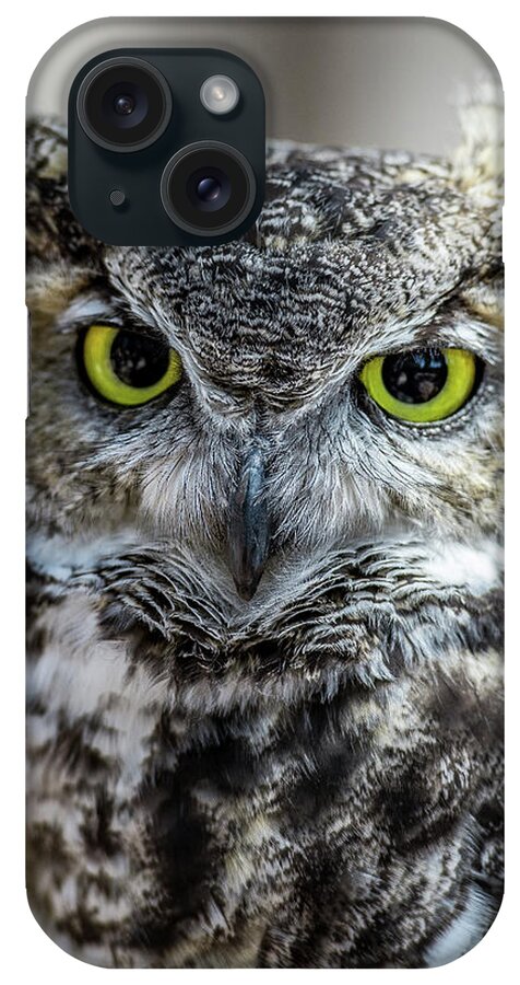 Great Horned Owl iPhone Case featuring the photograph Who by Phil Abrams