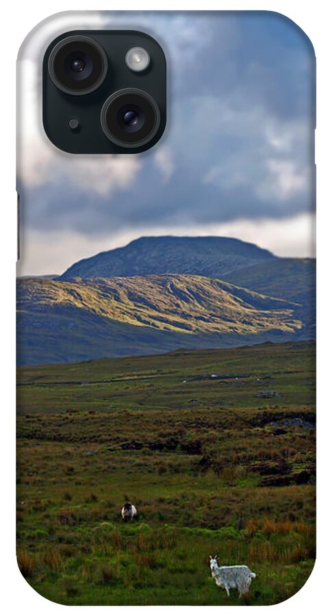 Fine Art Photography iPhone Case featuring the photograph Who You Lookin' At by Patricia Griffin Brett