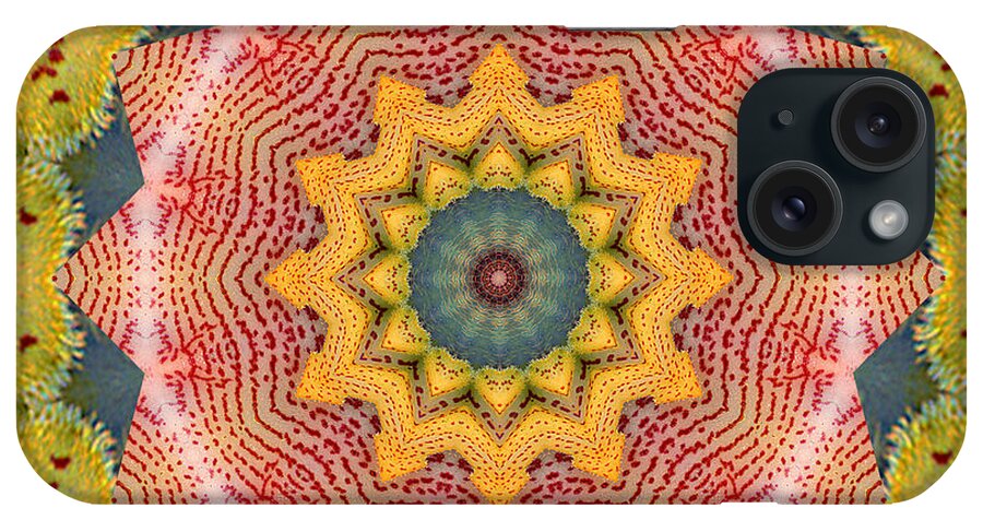 Mandalas iPhone Case featuring the photograph Wholeness by Bell And Todd