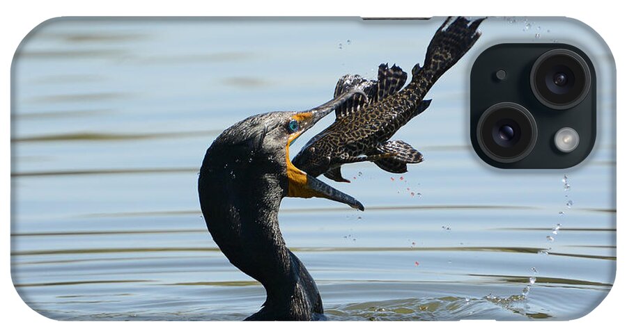 Double-crested Cormorant iPhone Case featuring the photograph Whopper by Fraida Gutovich