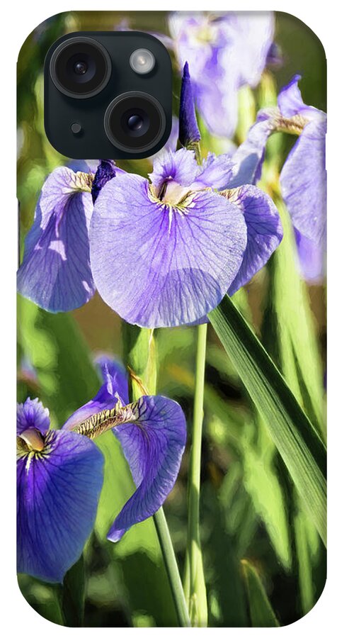  Bud iPhone Case featuring the photograph Wild Alaskan Irises III by Penny Lisowski