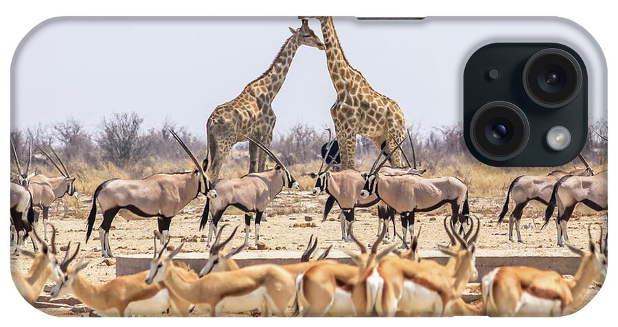 Namibia iPhone Case featuring the photograph Wild Animals Pyramid by Benny Marty