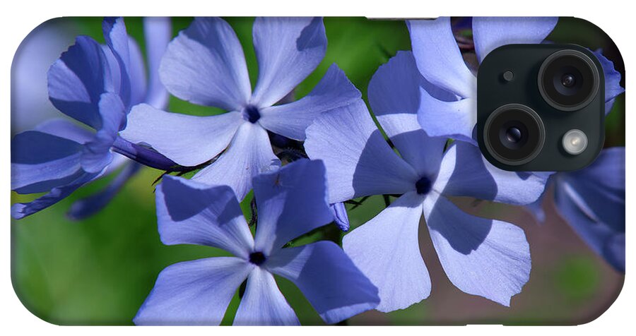 Phlox Family iPhone Case featuring the photograph Wild Blue Phlox DSPF0386 by Gerry Gantt