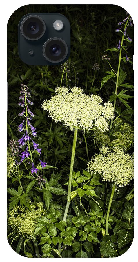 Wildflower iPhone Case featuring the photograph Wild Celery and Larkspur by Fred Denner