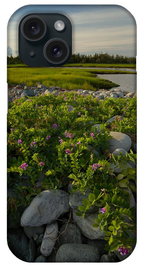 Wildflowers iPhone Case featuring the photograph Wild Coastal Garden #2 by Irwin Barrett