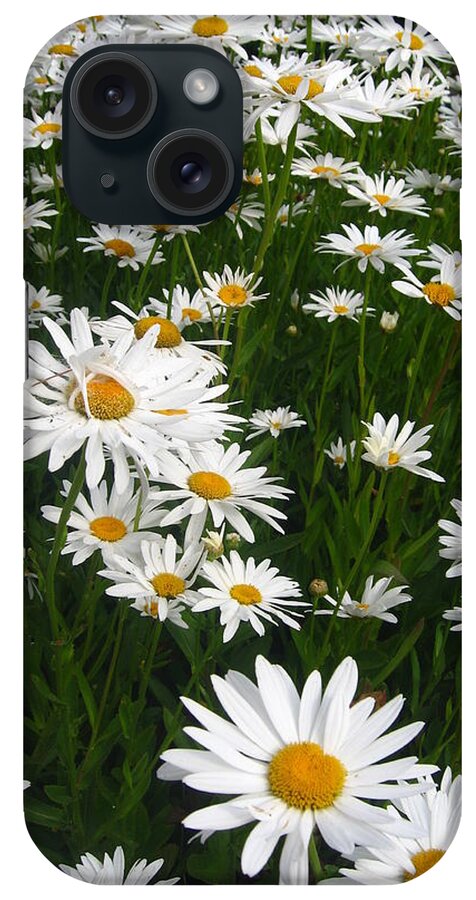 Wild iPhone Case featuring the photograph Wild Daisies by Dorothy Cunningham