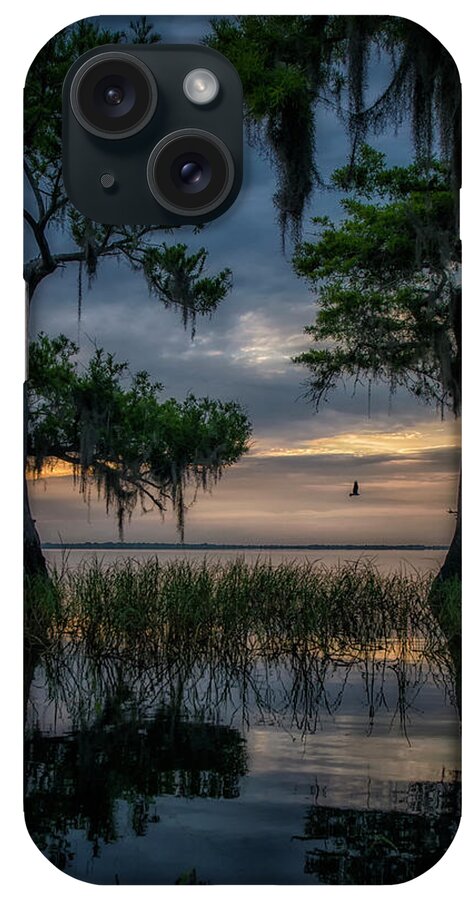 Crystal Yingling iPhone Case featuring the photograph Wild Florida by Ghostwinds Photography
