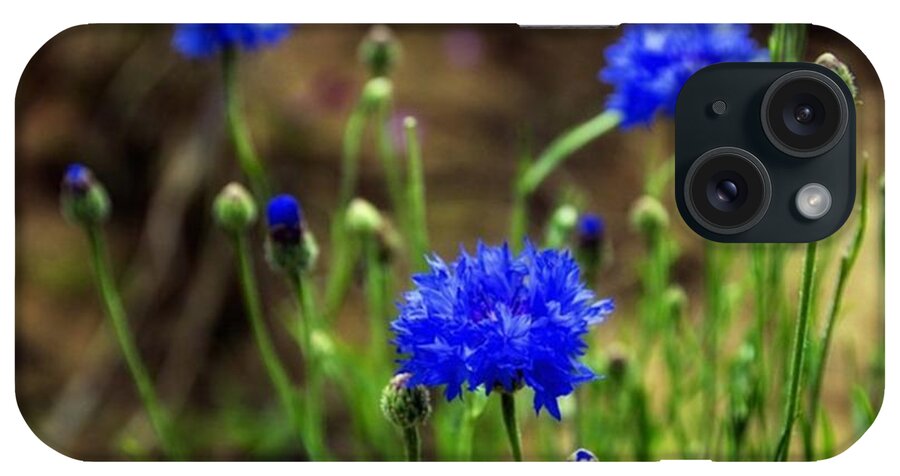 Forsale iPhone Case featuring the photograph Wild Flower Beauty 3
#flowers #france by Georgia Clare